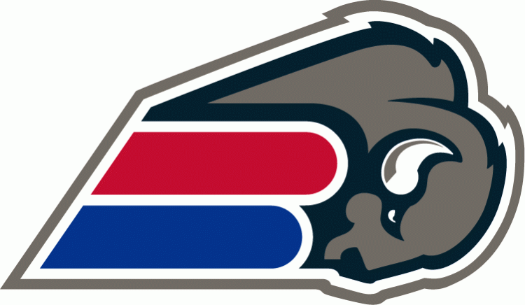 Buffalo Bills 2002 Unused Logo iron on paper